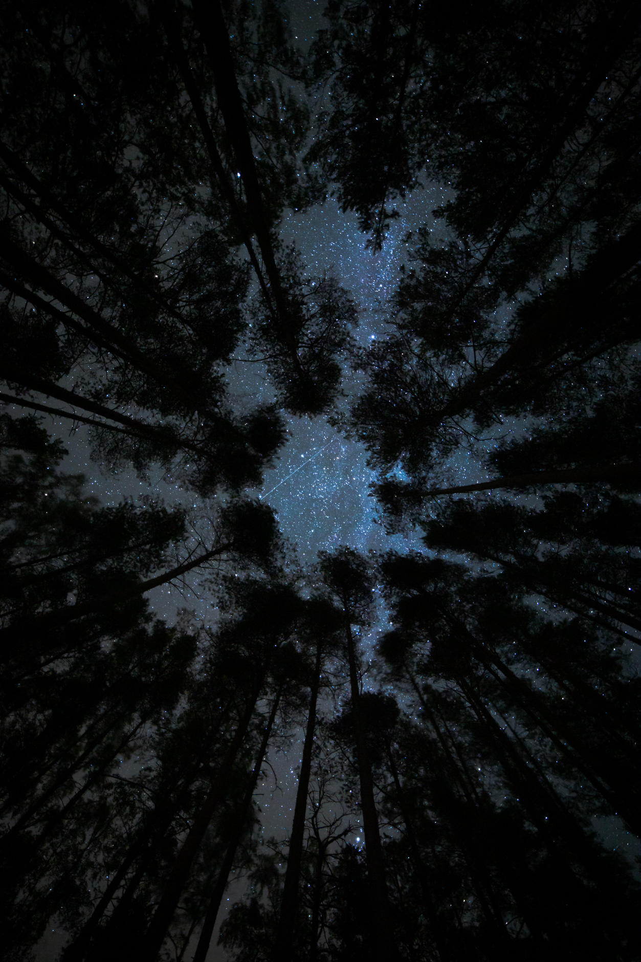 Mäntyharju, Finland